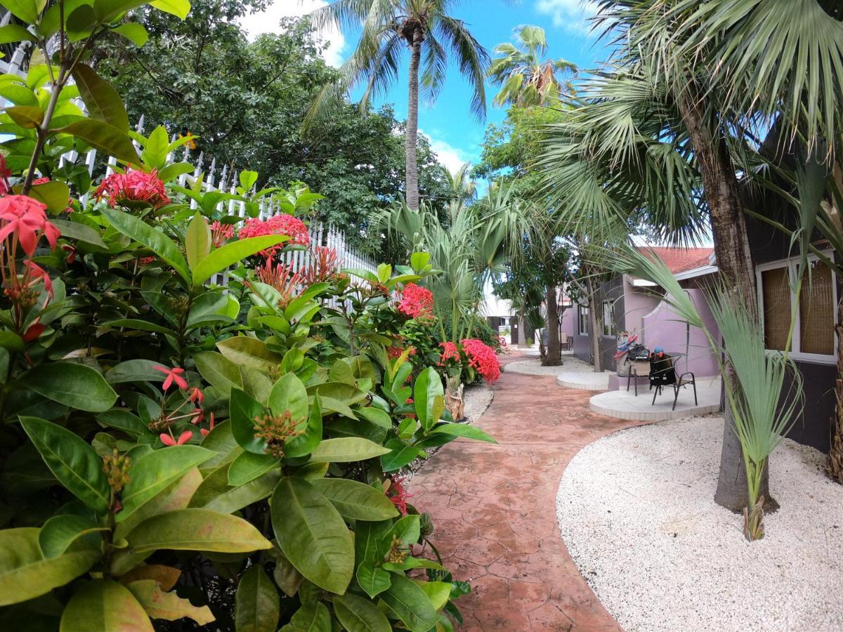 Cadushi Apartments Oranjestad Exterior photo